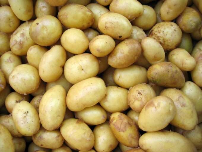 3 Cheap Staple Foods You Should Always Buy