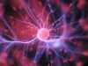 These Essential Foods Power Up Your Brain