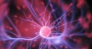 These Essential Foods Power Up Your Brain