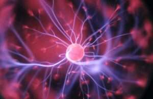 These Essential Foods Power Up Your Brain