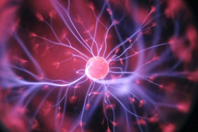 These Essential Foods Power Up Your Brain