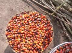 2 Tablespoons of This Ancient Oil Will Protect Your Heart