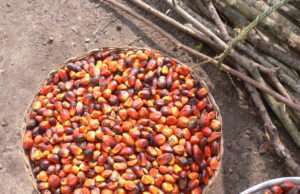 2 Tablespoons of This Ancient Oil Will Protect Your Heart