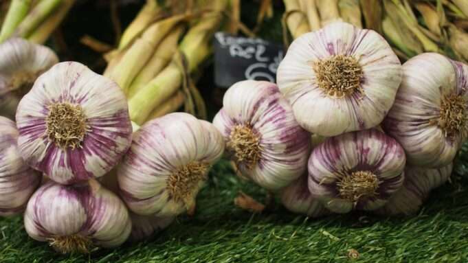 These 5 Foods Promote Longevity Says Man Who Lived to 114