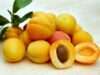 12 Health Benefits from One Unexpected Fruit Oil