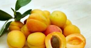 12 Health Benefits from One Unexpected Fruit Oil