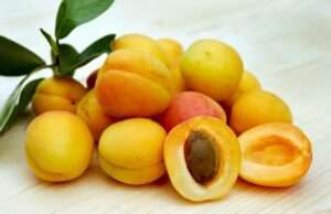 12 Health Benefits from One Unexpected Fruit Oil