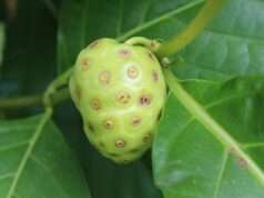 11 Potential Health Benefits of This Asian Super Food