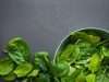 12 Foods That Help Prevent Alzheimer’s & Dementia