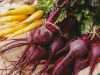 The Nutritious Root Veggie: What You May Not Know About Beets