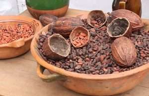 8 Amazing Benefits Of Raw Cacao