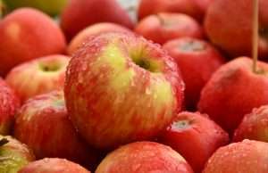 17 Foods To Supercharge Your Metabolism