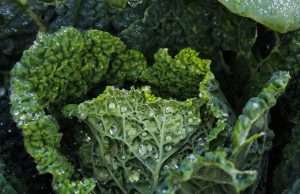 If You Eat These Foods, You May Not Need a Multivitamin
