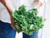 7 Dairy Free Foods That Are Rich in Calcium