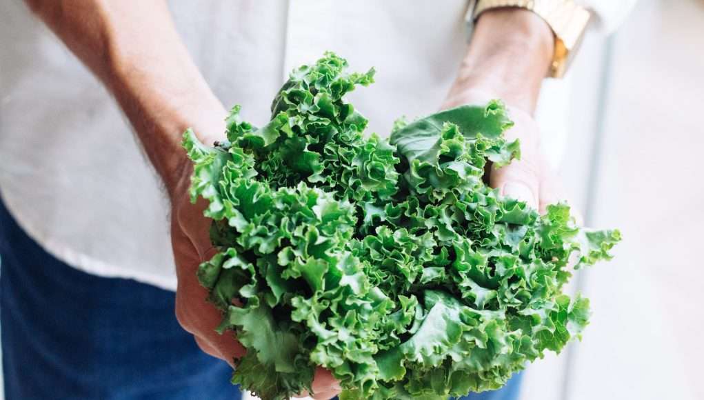 7 Dairy Free Foods That Are Rich in Calcium
