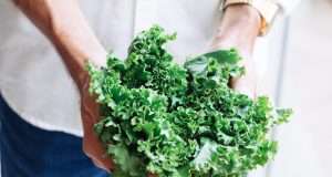 7 Dairy Free Foods That Are Rich in Calcium