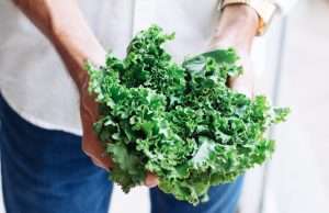 7 Dairy Free Foods That Are Rich in Calcium