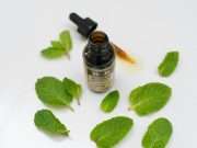 Peppermint Plus 11 Other Natural Pain Relievers