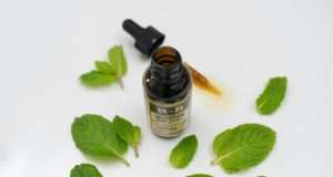 Peppermint Plus 11 Other Natural Pain Relievers