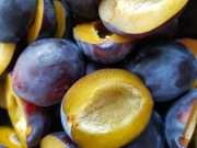 Slash Your Colon Cancer Risk and 8 Other Reasons to Eat Dried Plums