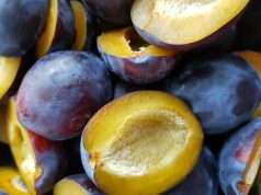 Slash Your Colon Cancer Risk and 8 Other Reasons to Eat Dried Plums