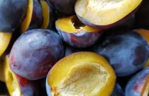 Slash Your Colon Cancer Risk and 8 Other Reasons to Eat Dried Plums