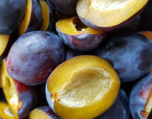 Slash Your Colon Cancer Risk and 8 Other Reasons to Eat Dried Plums