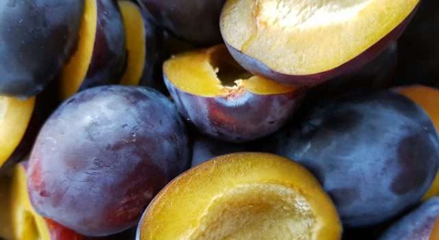 Slash Your Colon Cancer Risk and 8 Other Reasons to Eat Dried Plums