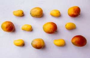 7 Reasons to Eat a Mango Every Day