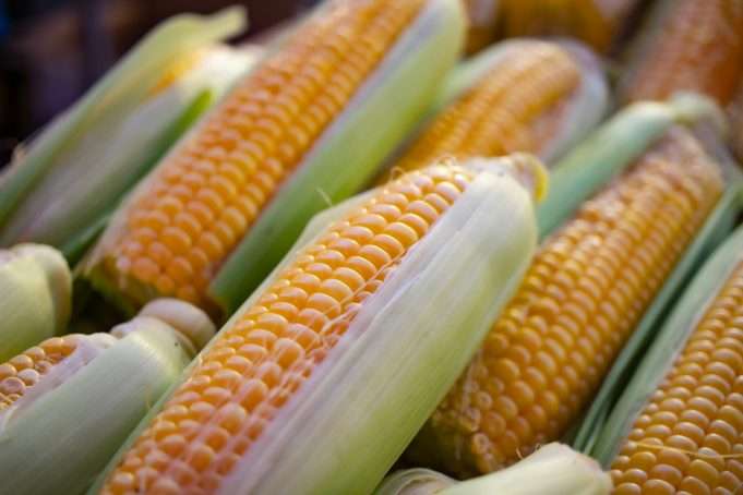 6 Truths About Corn That May Shock You